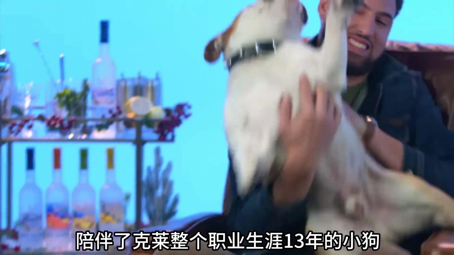 陪伴克萊13年的小狗去世了，不敢相信克萊得多么傷心
